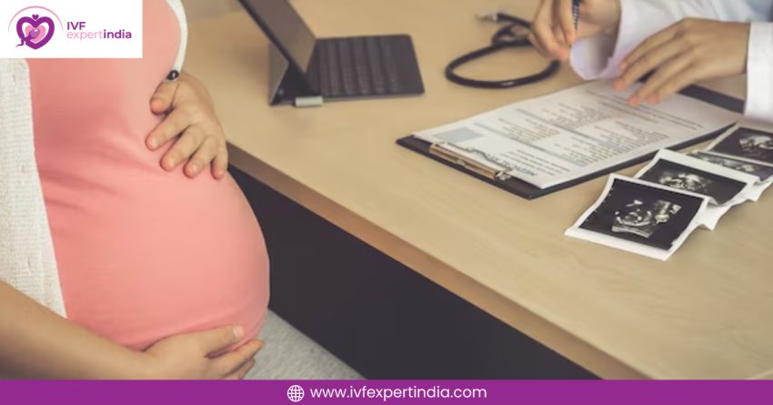 IVF Success Rates by Age