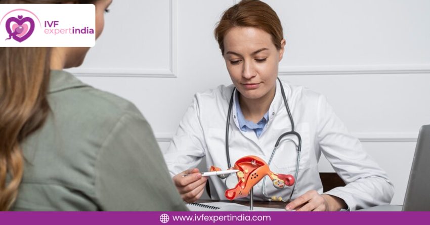 Female Infertility Treatment