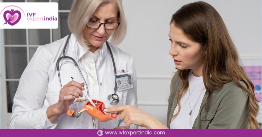 Female Infertility Treatment