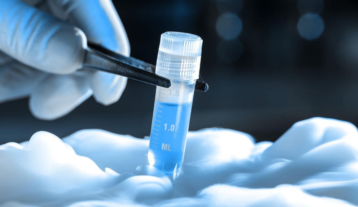 egg-freezing-treatment